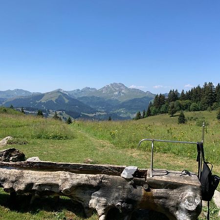 Chalet Yuki Morzine Ngoại thất bức ảnh